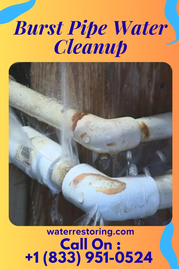 Burst Pipe Water Cleanup in South Point, TX