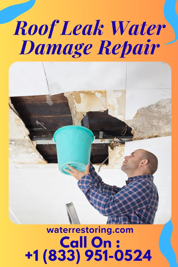 Roof Leak Water Damage Repair in South Point, TX